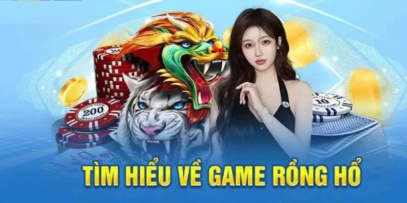Tìm hiểu nguồn gốc trò Dragon Tiger Bsport